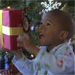 Holiday Highlights of the Season