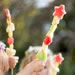 How to Make a Fruit Wand