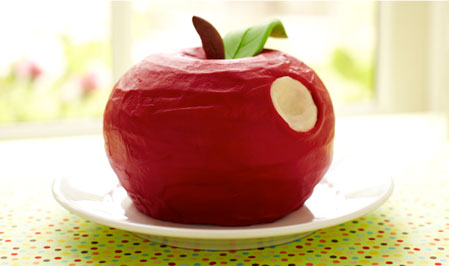 recipe photo