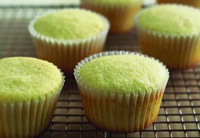 recipe photo