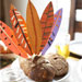 Turkey Table Toppers